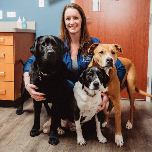 Tabby Arenson, CVT, CVPM